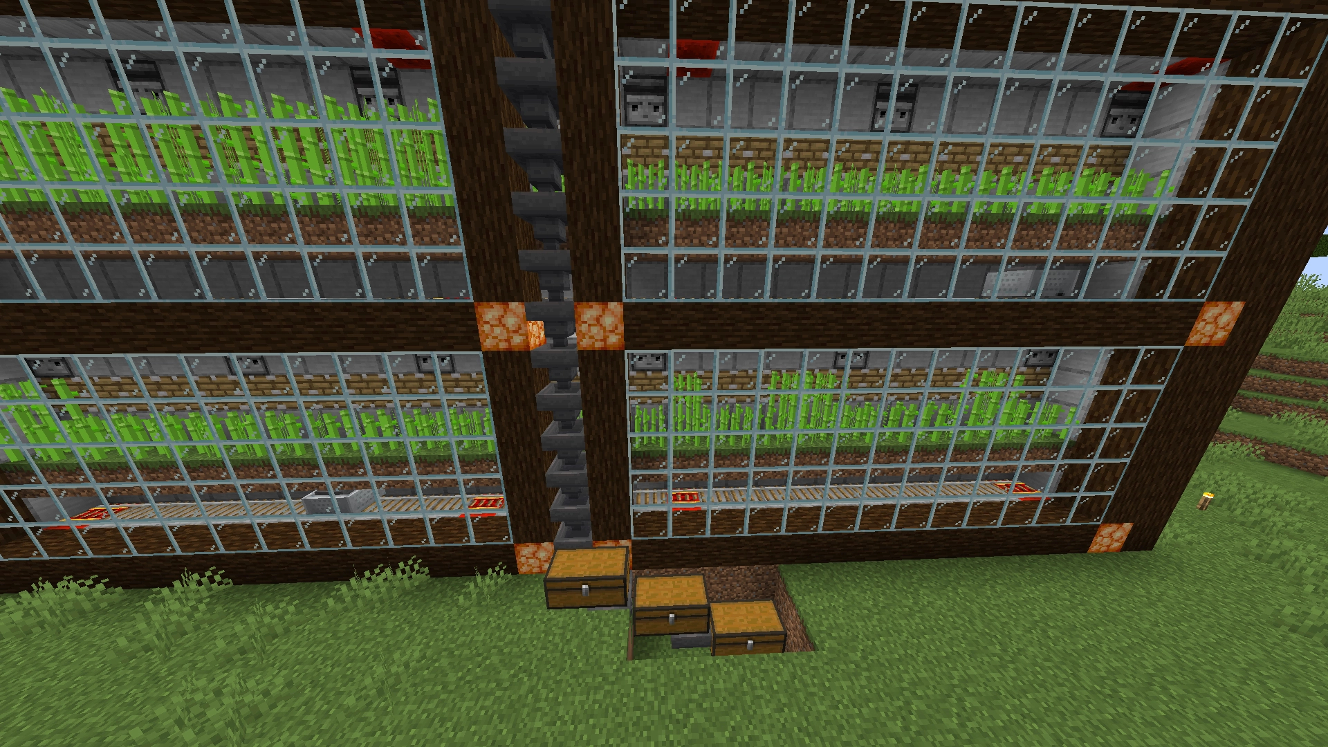 Sugarcane farm  – additional image